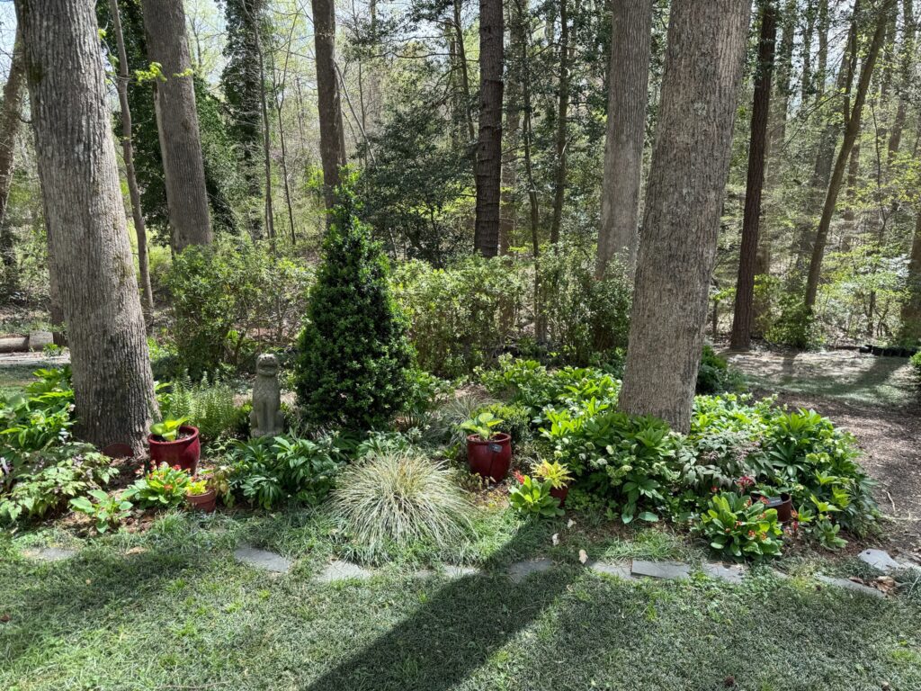 A garden with trees and bushes in the background.