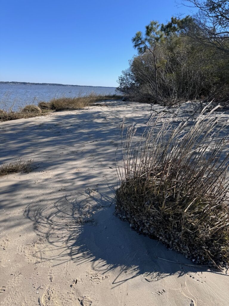 A sandy beach with grass and bushes on the shore.